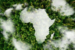 Africa 
