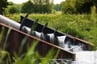 Small hydropower