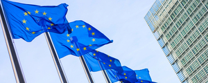 EU flags