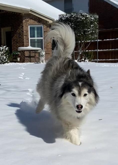 Employee Spotlight | Michelle Furrow