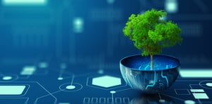 Product sustainability