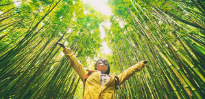 Regulations impact emissions - compliance a necessary partner for sustainability