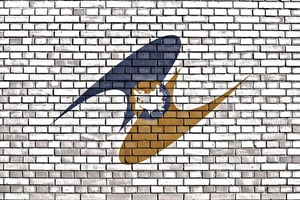 ユーラシア経済連合（EAEUまたはEEU）の国旗の色